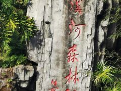 -广州市流溪河国家森林公园