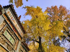 -岳麓山风景名胜区