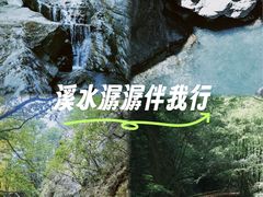 -牛背梁国家森林公园