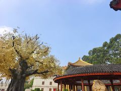 -广东圆玄道观