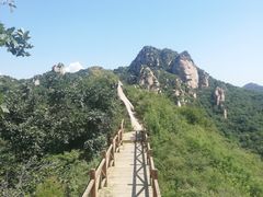 -大岭沟猕猴桃谷风景区