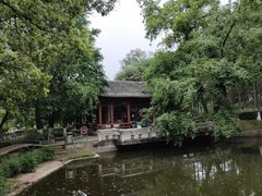 -南京古林公园