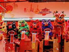 -越秀西湖花市(广州城市广场花卉店)