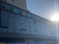 -谐和贝康宠物医院24小时·宠保定点(急重症转诊中心)