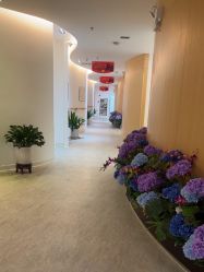 点击看大图 -天津伊美尔医疗整形美容专科医院