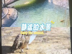 -太原动物园
