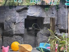 -栾川竹海野生动物园