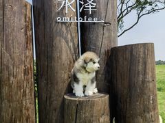 -omitofee咖啡(水泽店)
