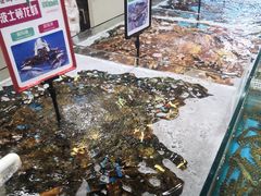 -渔乐圈海鲜餐厅(群力金江路店)