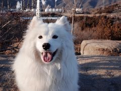 -白水寺森林公园