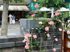 -大小河街