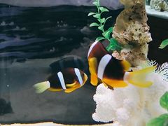 -太平洋海底世界