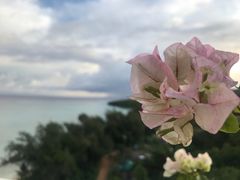 -塞班肯辛顿酒店Kensington Hotel Saipan