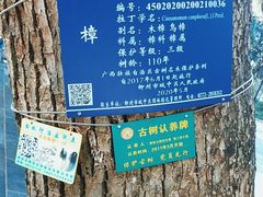 -柳侯公园
