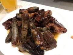 -食家鸽园