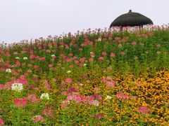 -径山花海