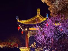 -无锡梅园公园