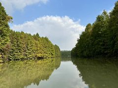 -上海海湾国家森林公园