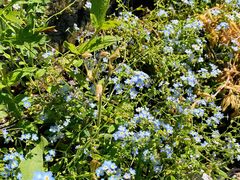 -白草畔自然风景区