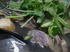 -京陵鸭血粉丝汤(景德路店)