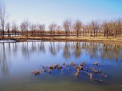 -东郊湿地公园