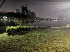 -羊山湖公园