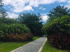 -福田红树林生态公园