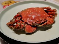 -T11生鲜超市(朝阳公园店)
