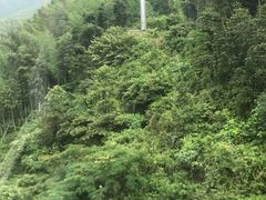 -萍乡武功山风景名胜区