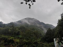 -藏龙百瀑风景区