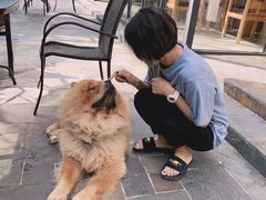 -看见远方·莫干遥远的山民宿