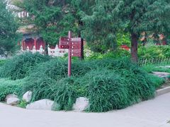 景点-景山公园