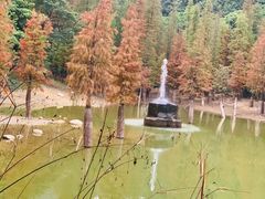 -广州市帽峰山景区