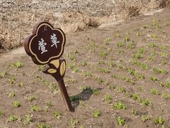 -郑东新区湿地公园