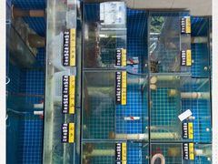 -亚忠小吃店(曾厝垵店)