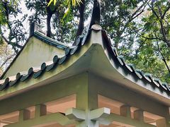 -广州兰圃