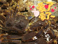 -拉完海鲜大排档(温岭店)