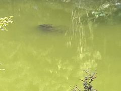 -重庆海昌加勒比海水世界