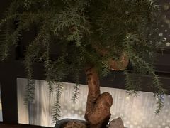 -大拙里·精致融合菜(沙湖桃源国际店)