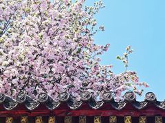 -莲池书院博物馆