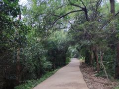 -大蜀山国家森林公园