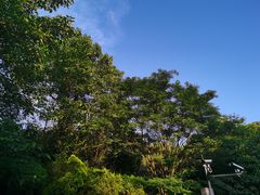 -贵阳市花溪国家城市湿地公园