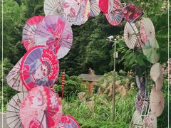 -周洛大峡谷