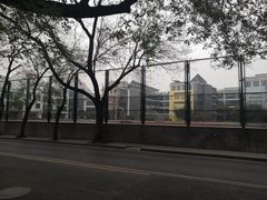 -北京第二实验小学