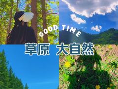 -塞罕坝国家级自然保护区