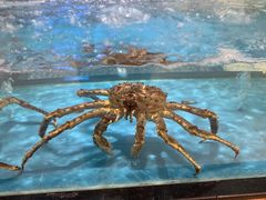 -都市阳光海鲜城(青山湖店)