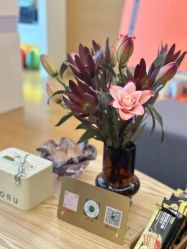 -ROYEA茹彦祛痘·问题肌肤修护中心