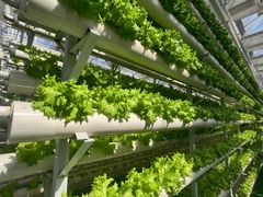 -兰陵国家农业公园