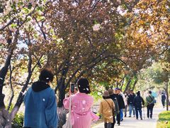 -元大都城垣遗址公园