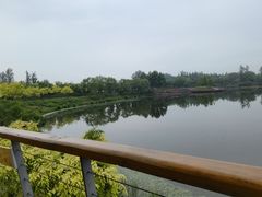 -东郊湿地公园